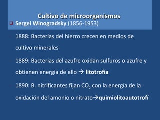 Cultivo de microorganismos   Sergei Winogradsky  (1856-1953) 1888: Bacterias del hierro crecen en medios de cultivo minerales  1889: Bacterias del azufre oxidan sulfuros o azufre y obtienen energía de ello     litotrofía   1890: B. nitrificantes fijan CO 2  con la energía de la oxidación del amonio o nitrato  quimiolitoautotrofí 