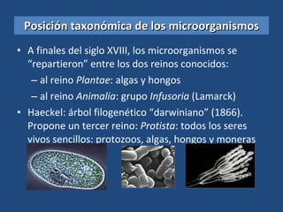 Posición taxonómica de los microorganismos A finales del siglo XVIII, los microorganismos se “repartieron” entre los dos reinos conocidos:  al reino  Plantae : algas y hongos  al reino  Animalia : grupo  Infusoria  (Lamarck)  Haeckel: árbol filogenético “darwiniano” (1866). Propone un tercer reino:  Protista : todos los seres vivos sencillos: protozoos, algas, hongos y moneras (=bacterias) 