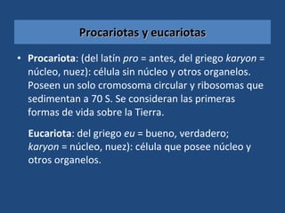 Procariotas y eucariotas Procariota :  (del latín  pro  = antes, del griego  karyon  = núcleo, nuez):  célula sin núcleo y otros organelos.  Poseen un solo cromosoma circular y ribosomas que sedimentan a 70 S. Se consideran las primeras formas de vida sobre la Tierra. Eucariota :  del griego  eu  = bueno, verdadero;  karyon  = núcleo, nuez):  célula que posee núcleo y otros organelos. 