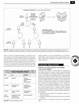 Microbiologia medica