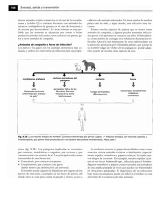 Microbiologia medica