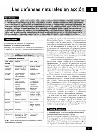 Microbiologia medica