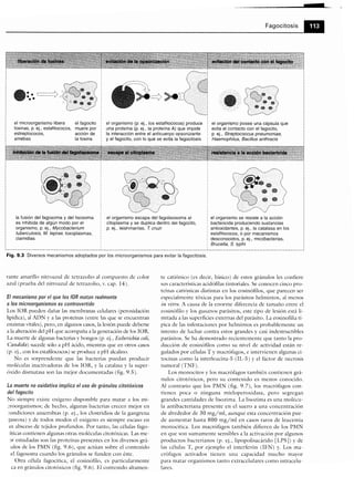 Microbiologia medica