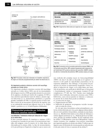 Microbiologia medica