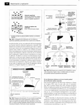 Microbiologia medica