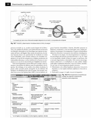 Microbiologia medica