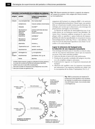 Microbiologia medica