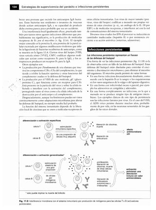Microbiologia medica