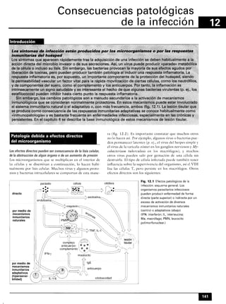 Microbiologia medica