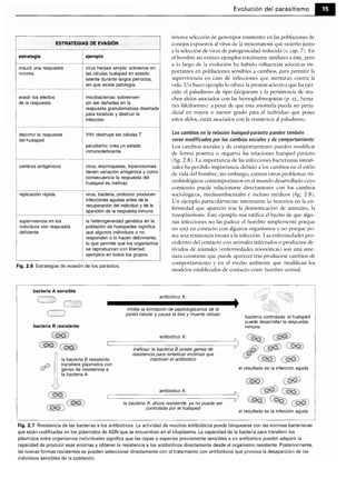 Microbiologia medica