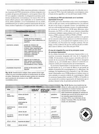Microbiologia medica