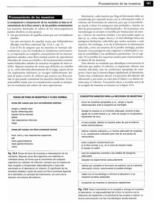 Microbiologia medica