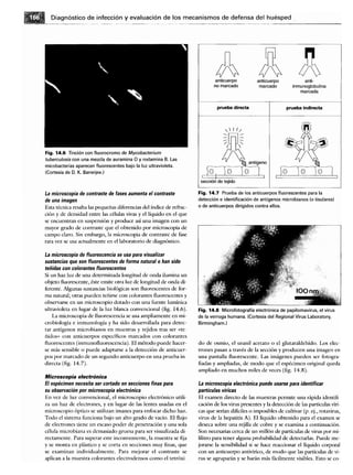 Microbiologia medica