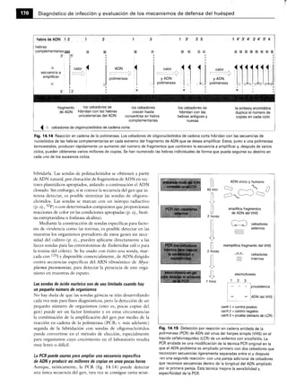 Microbiologia medica
