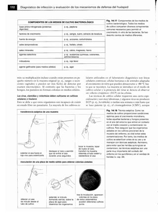 Microbiologia medica