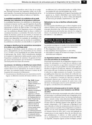 Microbiologia medica