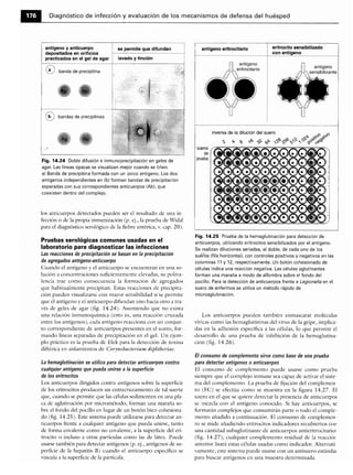 Microbiologia medica
