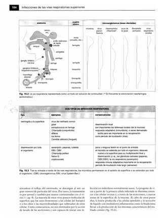 Microbiologia medica