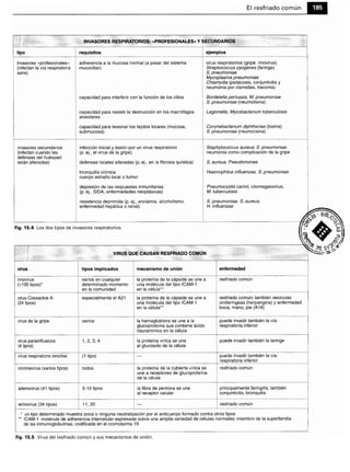 Microbiologia medica