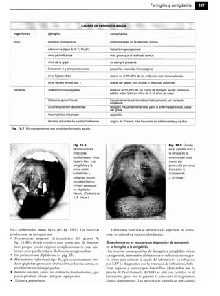 Microbiologia medica