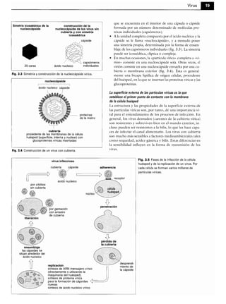 Microbiologia medica
