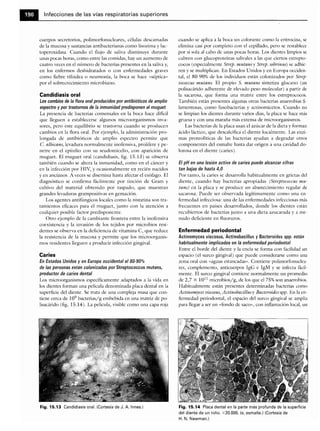 Microbiologia medica