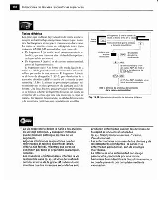 Microbiologia medica