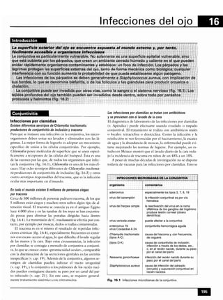 Microbiologia medica