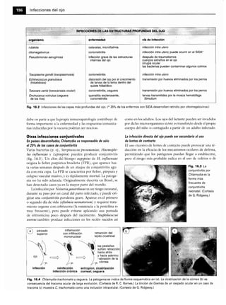 Microbiologia medica