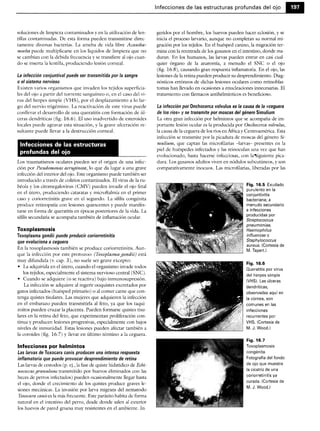 Microbiologia medica
