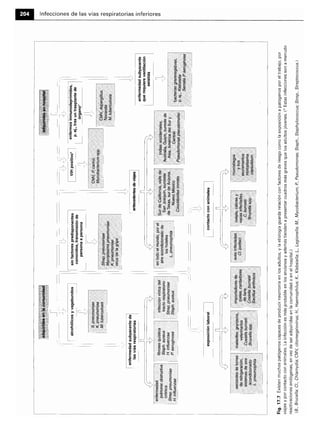 Microbiologia medica