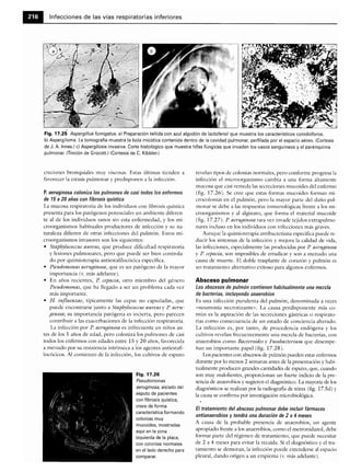 Microbiologia medica