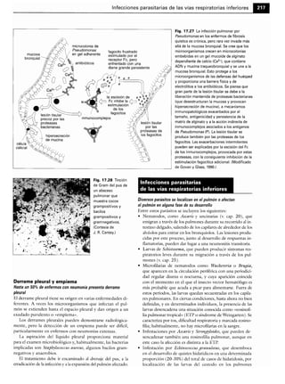 Microbiologia medica