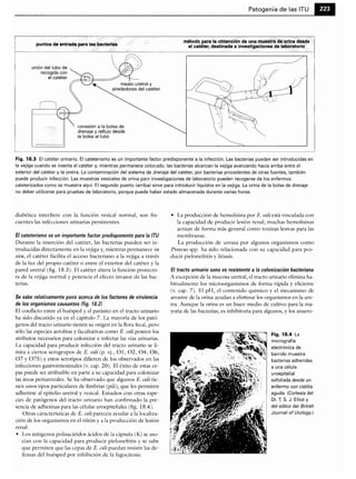 Microbiologia medica
