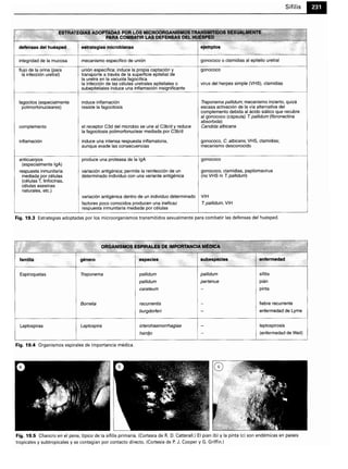 Microbiologia medica
