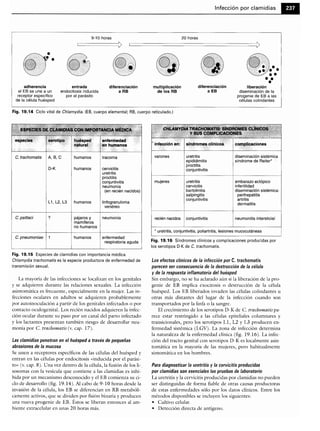 Microbiologia medica
