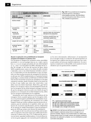 Microbiologia medica