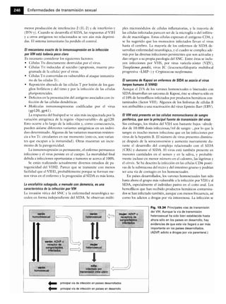 Microbiologia medica