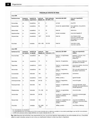 Microbiologia medica
