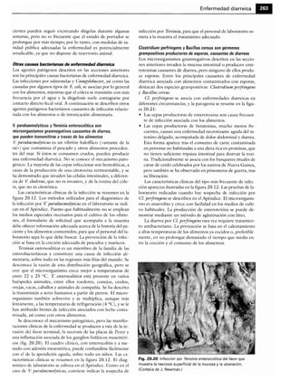 Microbiologia medica