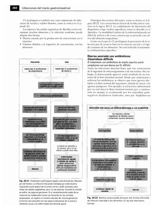 Microbiologia medica