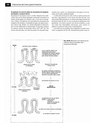 Microbiologia medica