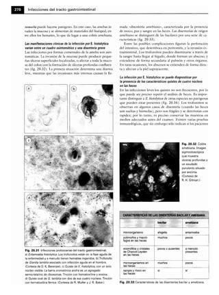 Microbiologia medica