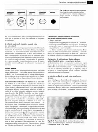 Microbiologia medica