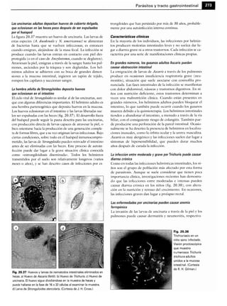 Microbiologia medica