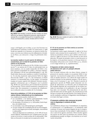 Microbiologia medica