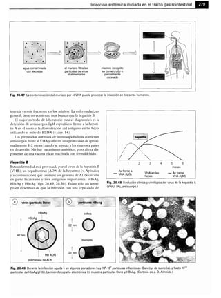 Microbiologia medica