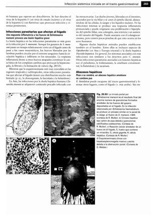 Microbiologia medica