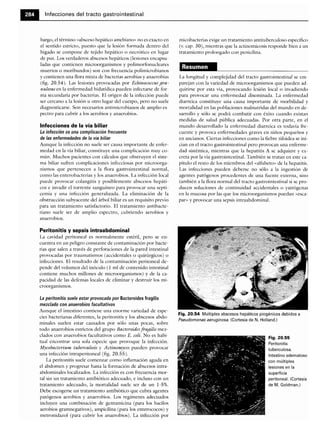 Microbiologia medica