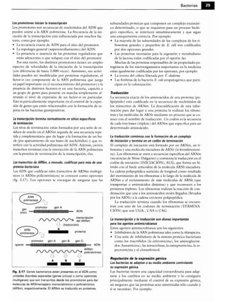 Microbiologia medica